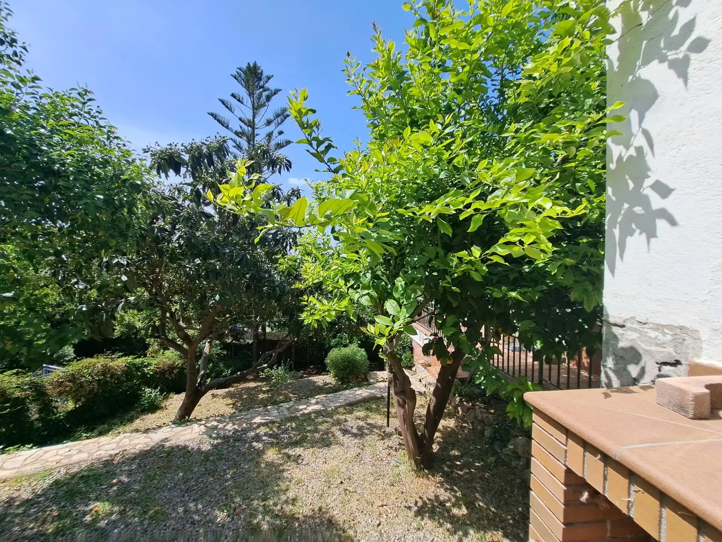 Jardí de Casa o xalet en venda en Castellví de Rosanes amb Calefacció, Jardí privat i Terrassa