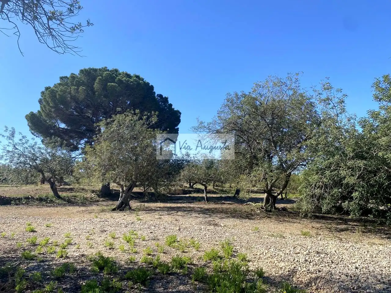Terreno rustico in vendita a Rabasada, imagen 9