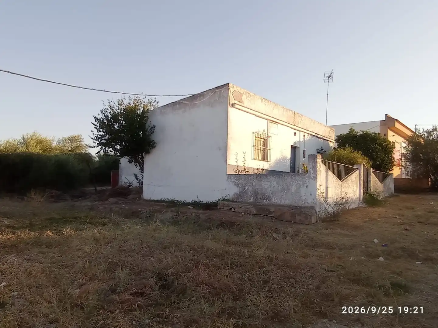 Terreno rústico en venta en El Rocío - La Milagrosa, imagen 5