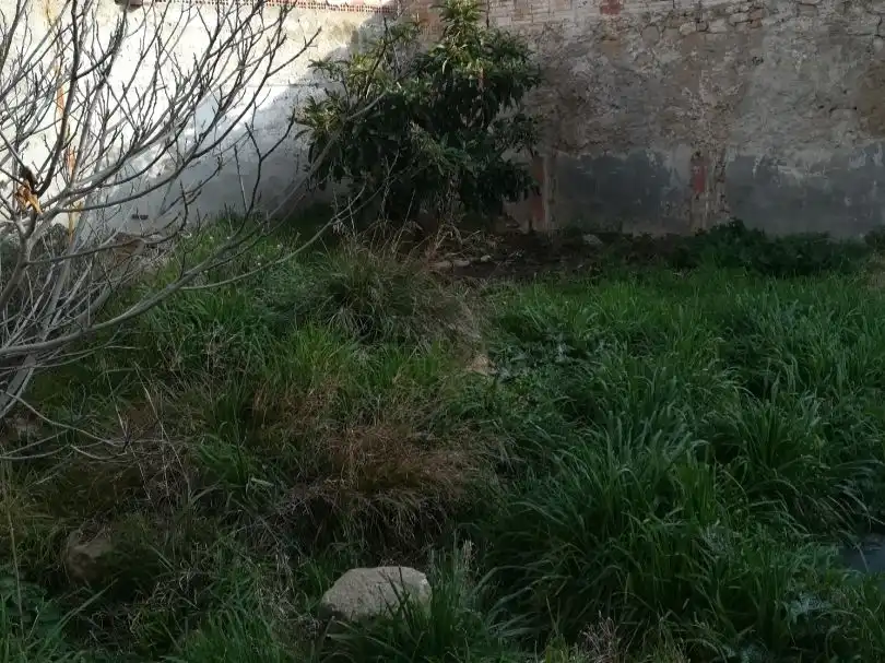 Maison mitoyenne avec jardin à vendre à Carretera de Blancafort 32, imagen 10