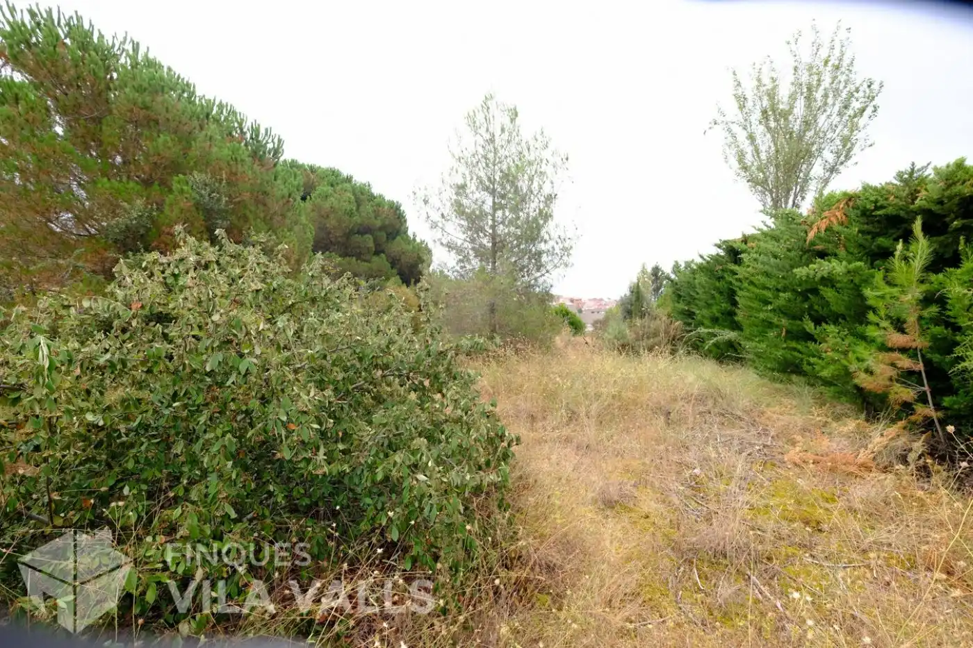 Terrenys i solars en venda a vinyetes, imagen 21