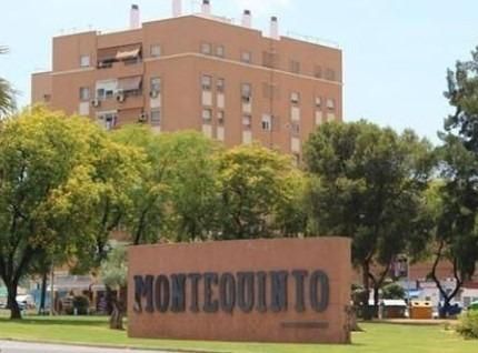 Exterior view of Residential for sale in Montequinto