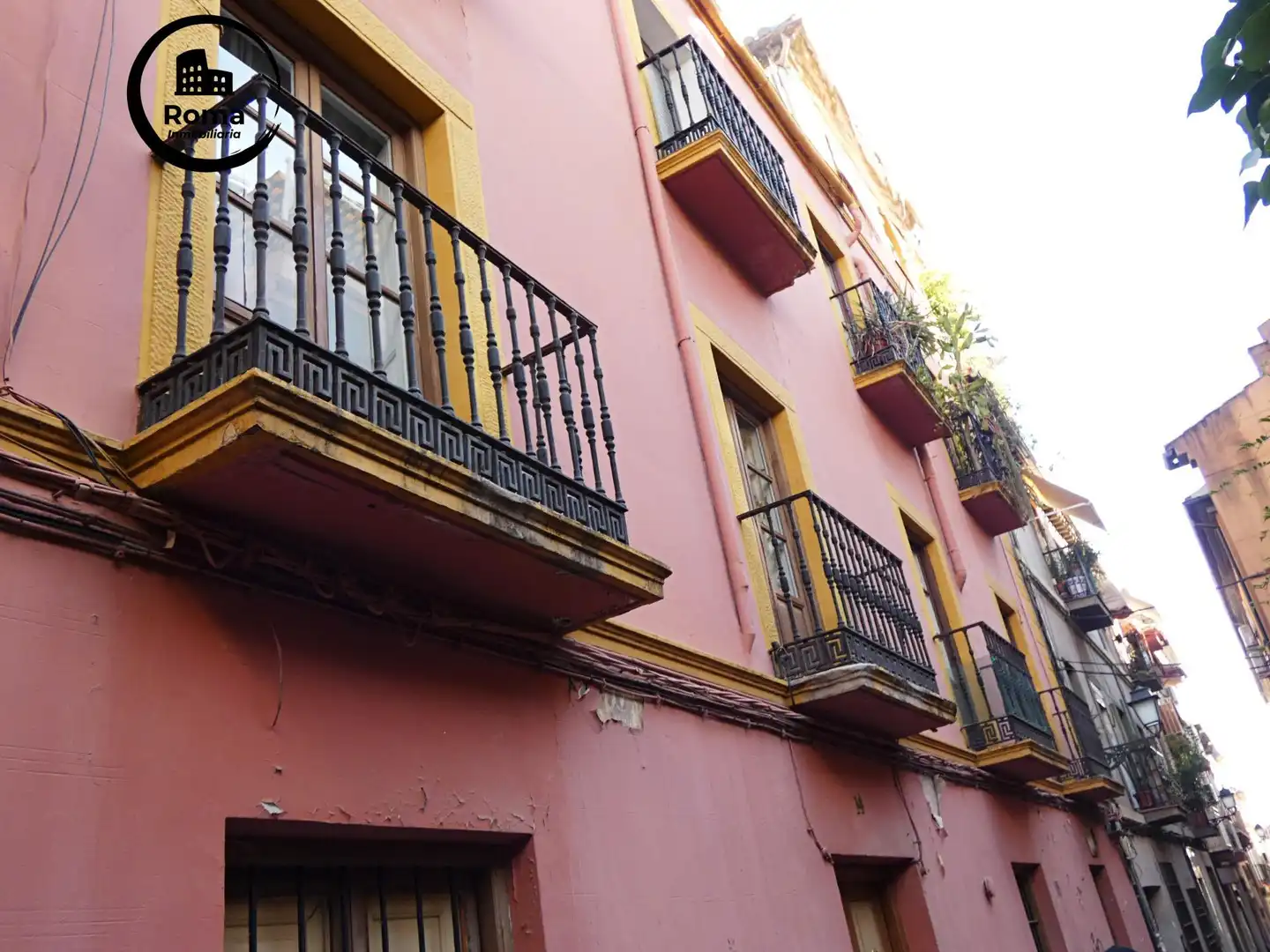 Immobles singulars en venda a Centro