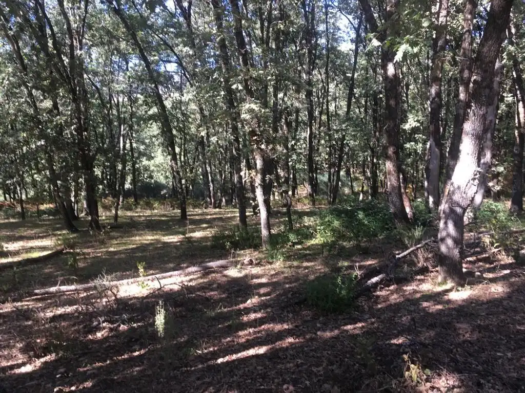 Terreni e lotti in vendita a Jarandilla de la Vera, imagen 14