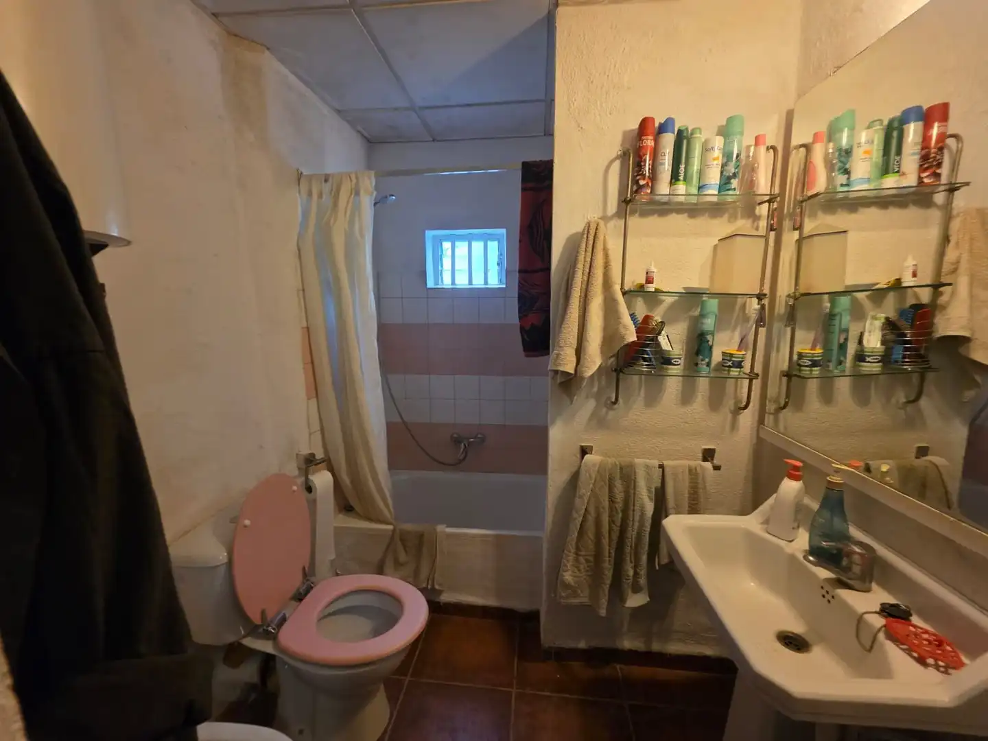Baño de Terreno en venta en Amposta