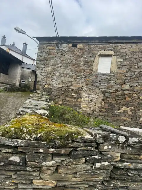 Vista exterior de Finca rústica en venda en Grandas de Salime