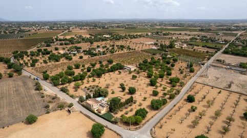 Foto 5 de Terreny en venda a Consell, Illes Balears