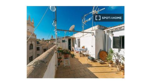Photo 3 of Apartment to share in El Sindicat, Illes Balears