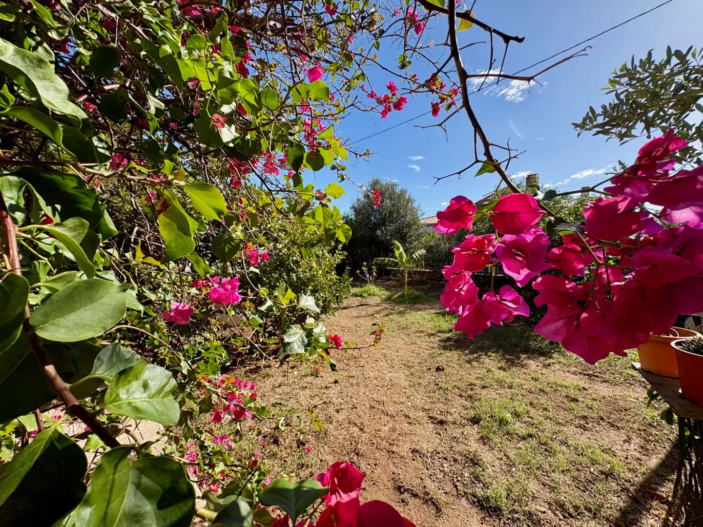 Xalet amb terrassa en venda a Miami Platja, imagen 33