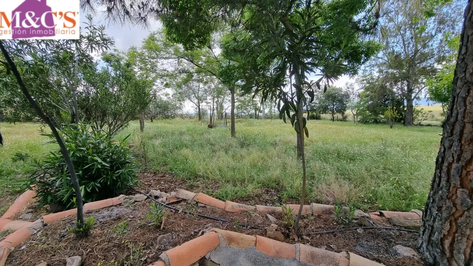 Xalet amb jardí en venda a Cabezarrubias del Puerto, imagen 3