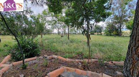 Foto 3 de Casa o xalet en venda a Cabezarrubias del Puerto, Ciudad Real
