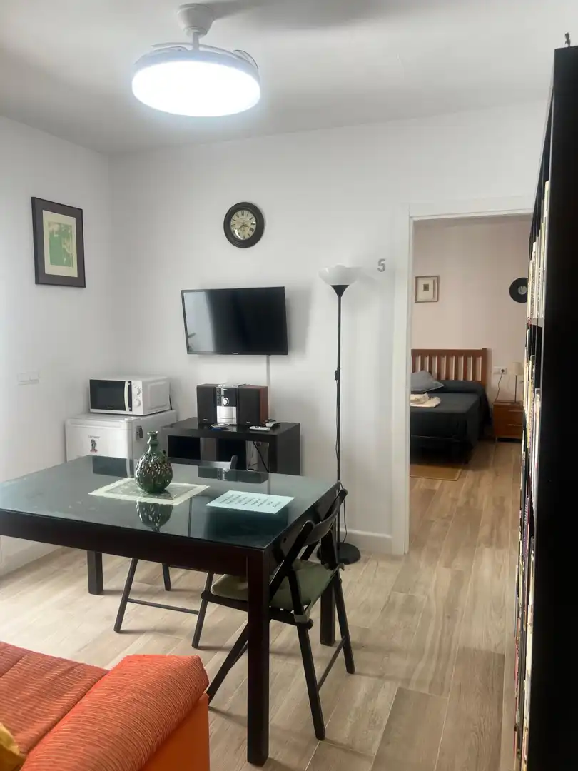 Living room of Flat for rent in Ronda  with Furnished