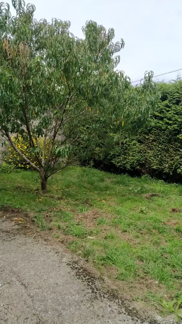 Casa con jardín en venta en Aldea a Ortigueira 10, imagen 5