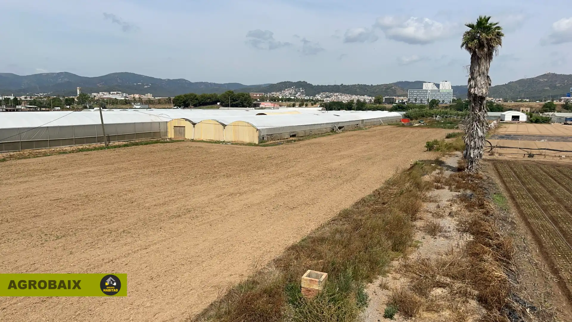 Terreno rustico in vendita a Carretera Variant 245 37