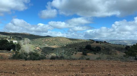 Foto 3 de Casa o chalet en venta en Játar, Granada