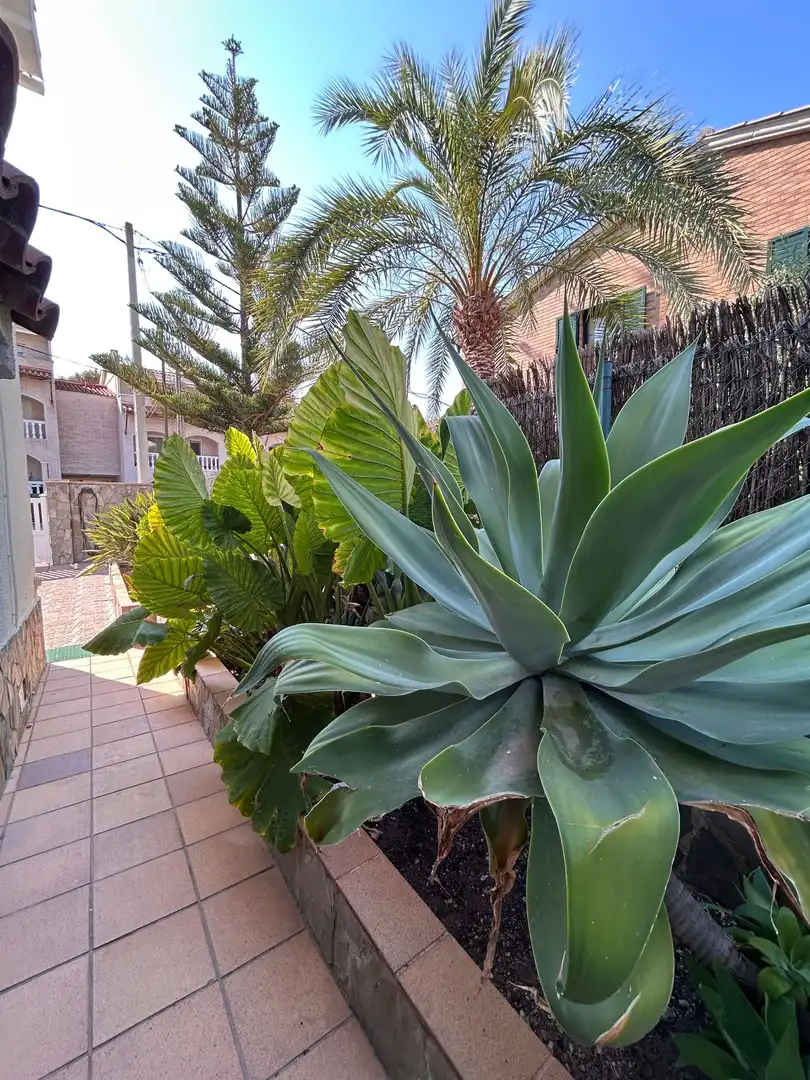 Jardí de Casa adosada en venda en Sant Pere de Ribes