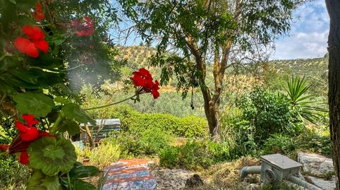 Photo 3 of Country house for sale in Bobadilla - Bobadilla Estación - La Joya, Málaga