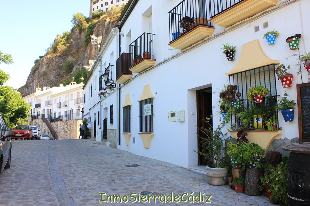 Vista exterior de Casa o xalet en venda en Zahara