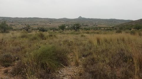 Terreno en Hondón de los Frailes, imatge 2