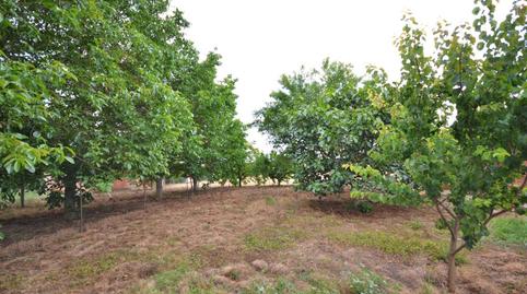 Photo 5 of House or chalet for sale in Centro, Villanueva del Río, Sn, Villoldo, Palencia