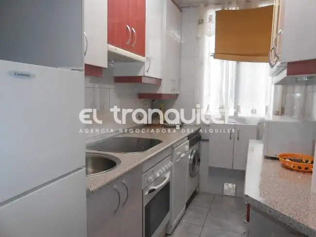 Cuina de Pis de lloguer en Madrid amb Aire condicionat, Terrassa i Moblat