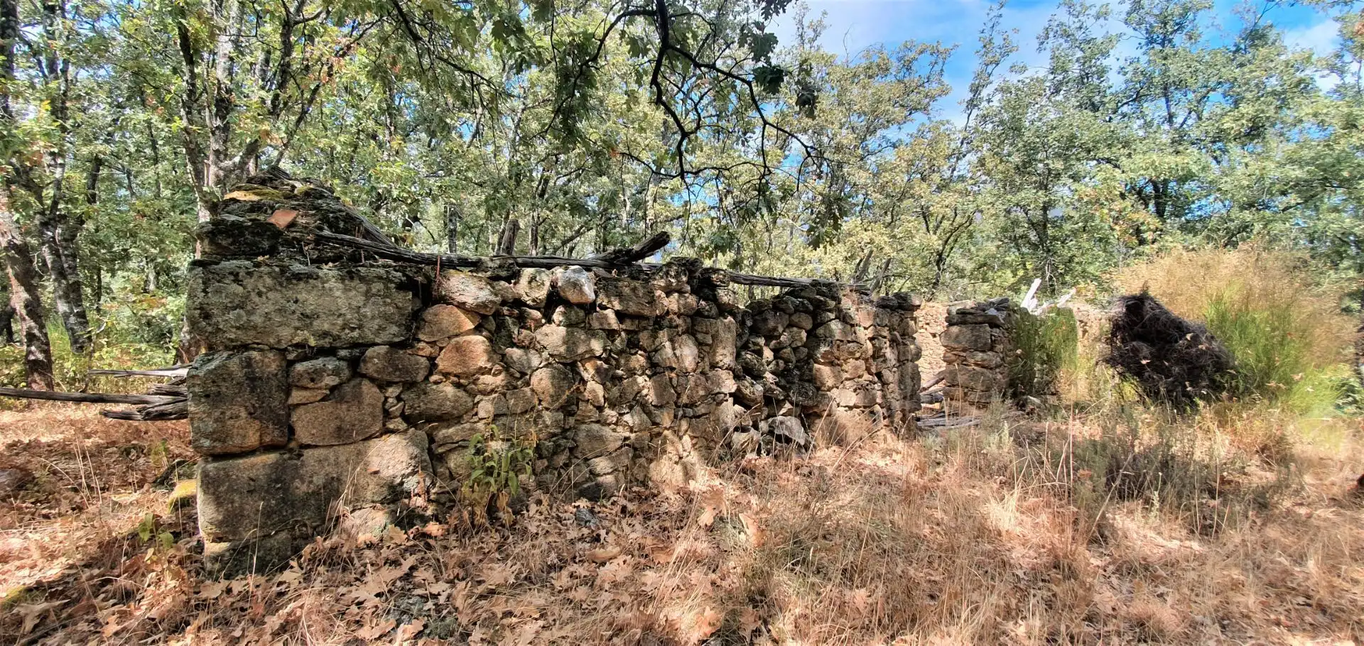 Terreni e lotti in vendita a Jarandilla de la Vera, imagen 20