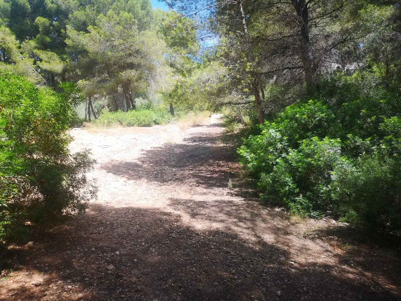 Residential for sale in Puerto De Encina, Paichi