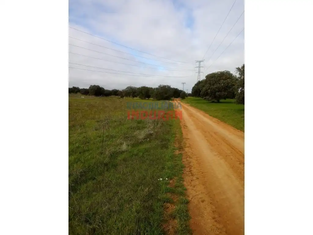 Finca rústica en venda en Alcolea de Tajo
