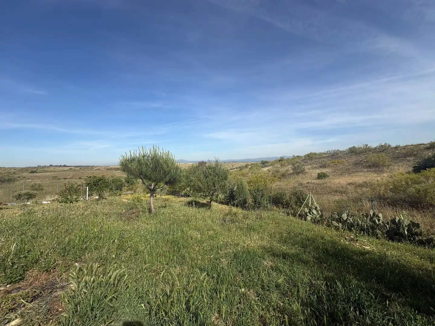 Terreno en venta en Casarrubios del Monte