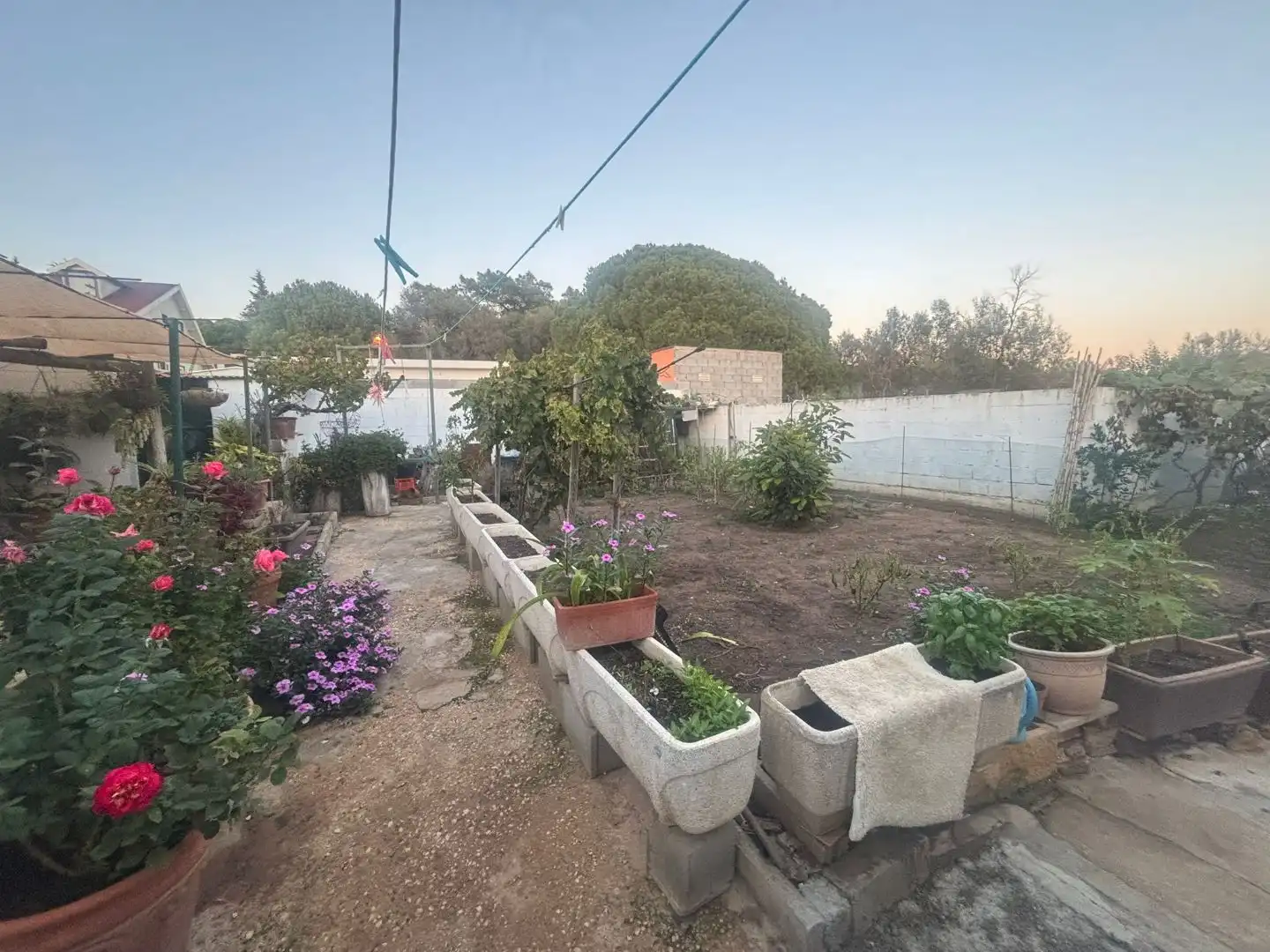 Maison avec piscine à vendre à Avellano 13, imagen 19