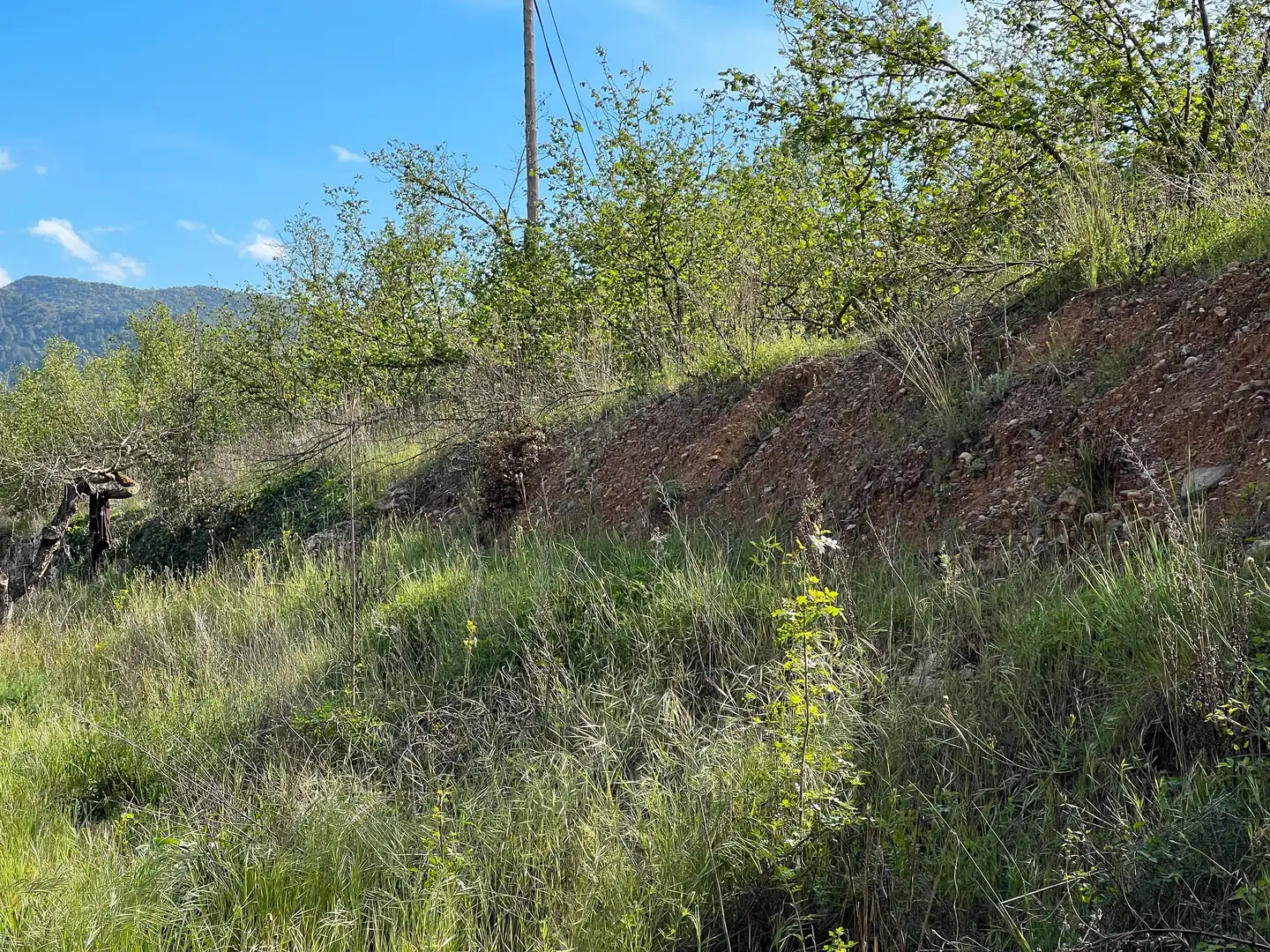 Rural land for sale in Cornudella de Montsant, imagen 11