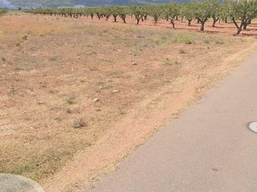 Terrain rustique à vendre à Polígono 25