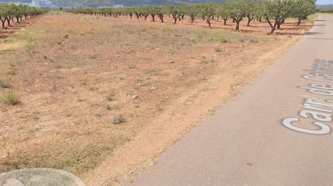 FINCA RUSTICO SECANO EN VILLAFAMES ACCESO POR CAMINO ASFALTADO