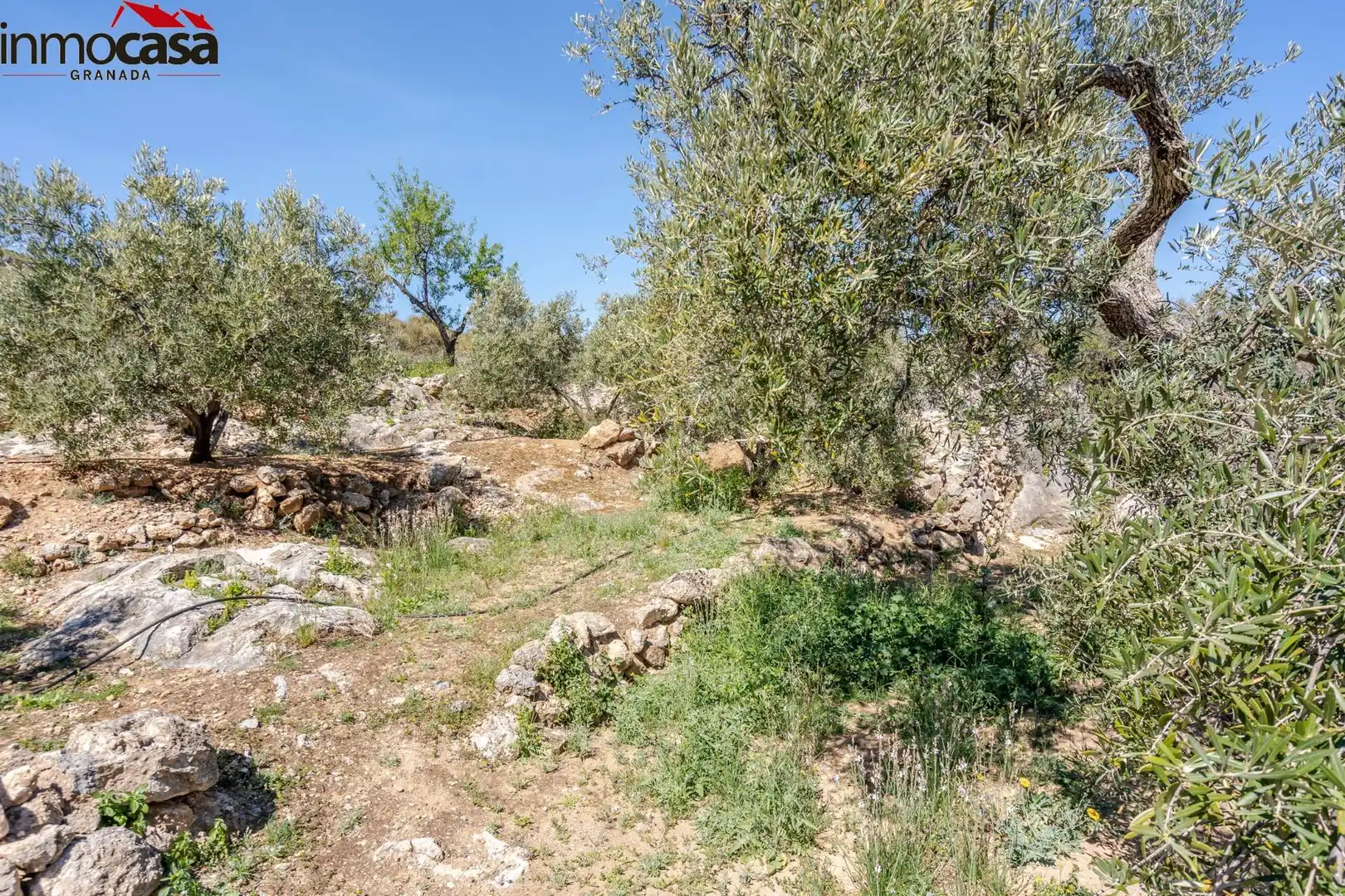 Land for sale in Lúcar