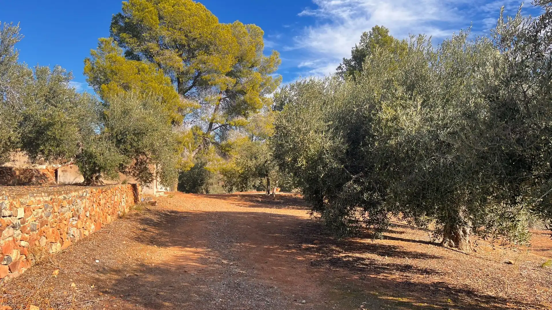 Terreno rustico in vendita a Carrer de Sant Abdó i Sant Senén, imagen 24