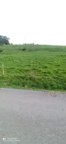 Terrenys i solars en venda a Oruña