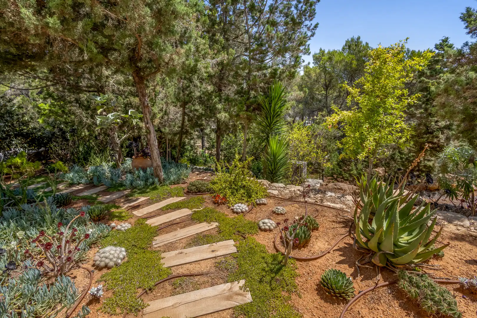 Jardí de Casa o xalet en venda en Santa Eulària des Riu amb Aire condicionat, Calefacció i Jardí privat