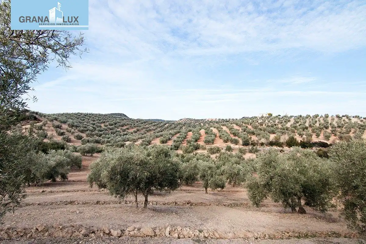 Country homes for sale in Loja