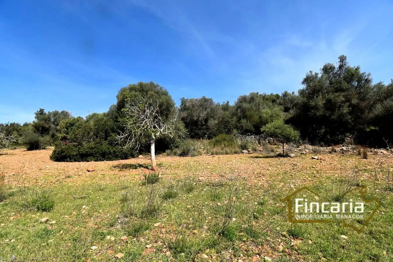 Rural land for sale in De La Torre Nova, imagen 22