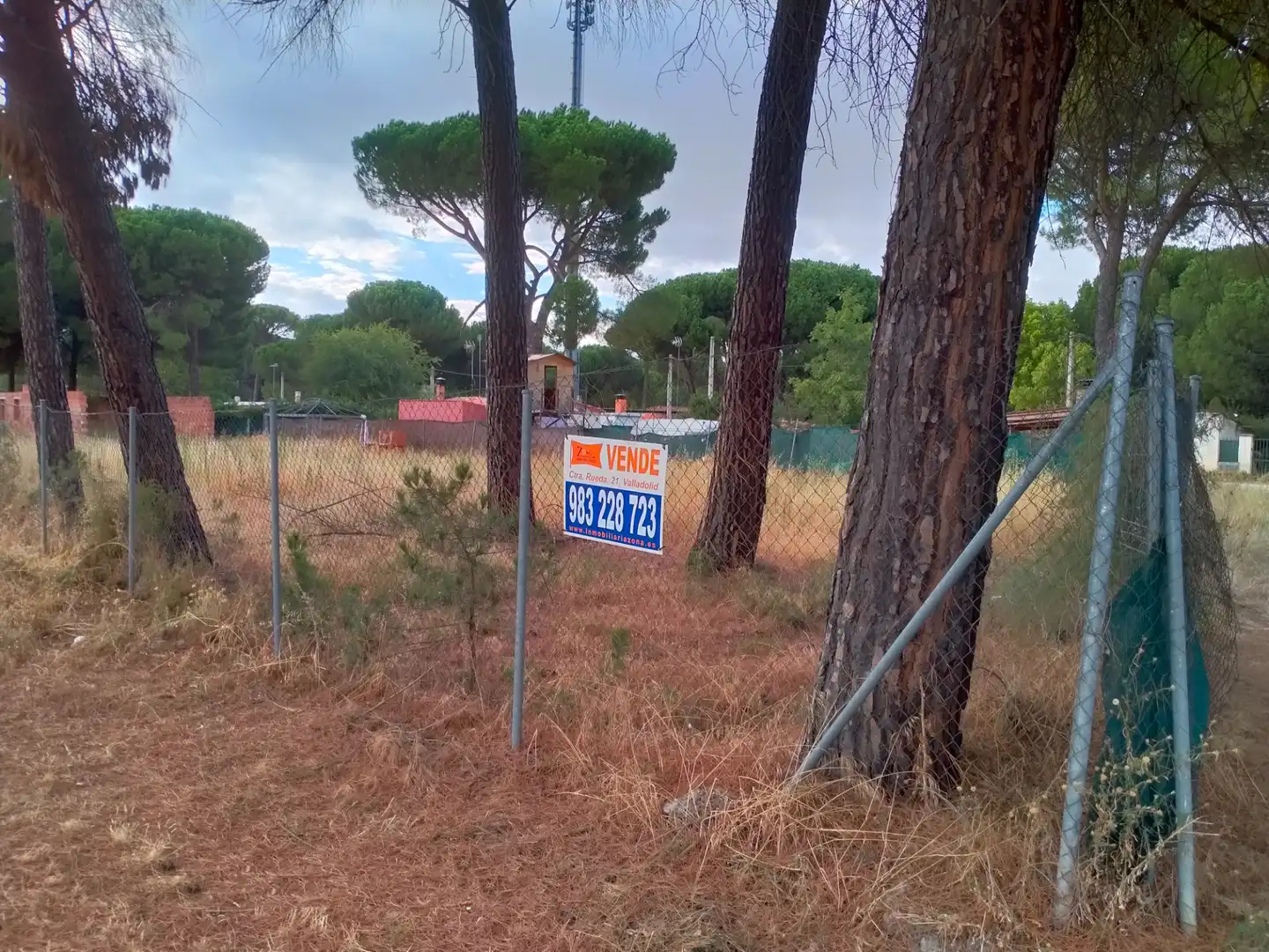 Terreny rústic en venda a Pago de los Carrizales, imagen 5
