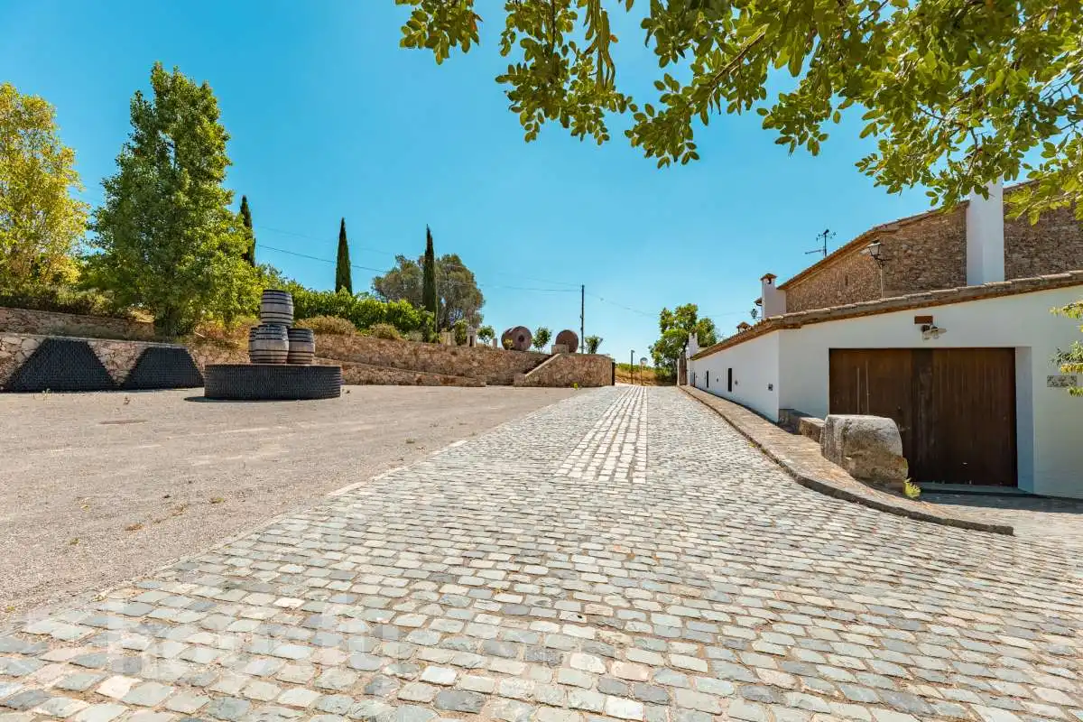 Vista exterior de Casa o chalet en venta en Castellví de la Marca con Jardín privado, Terraza y Trastero