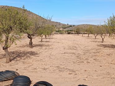 Terreno rustico in vendita a La Pinilla - Las Palas