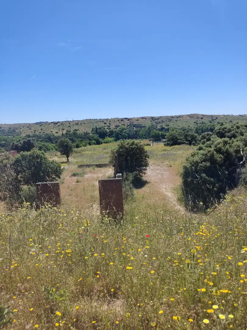 Land for sale in Navalcarnero