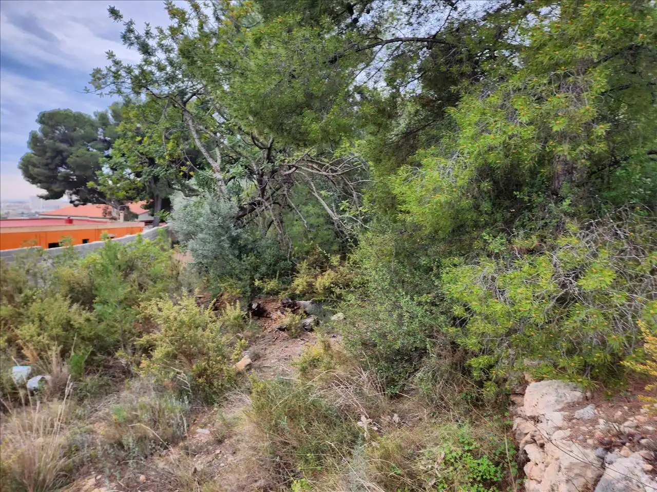 Residential land for sale in Pl Número 115, imagen 4