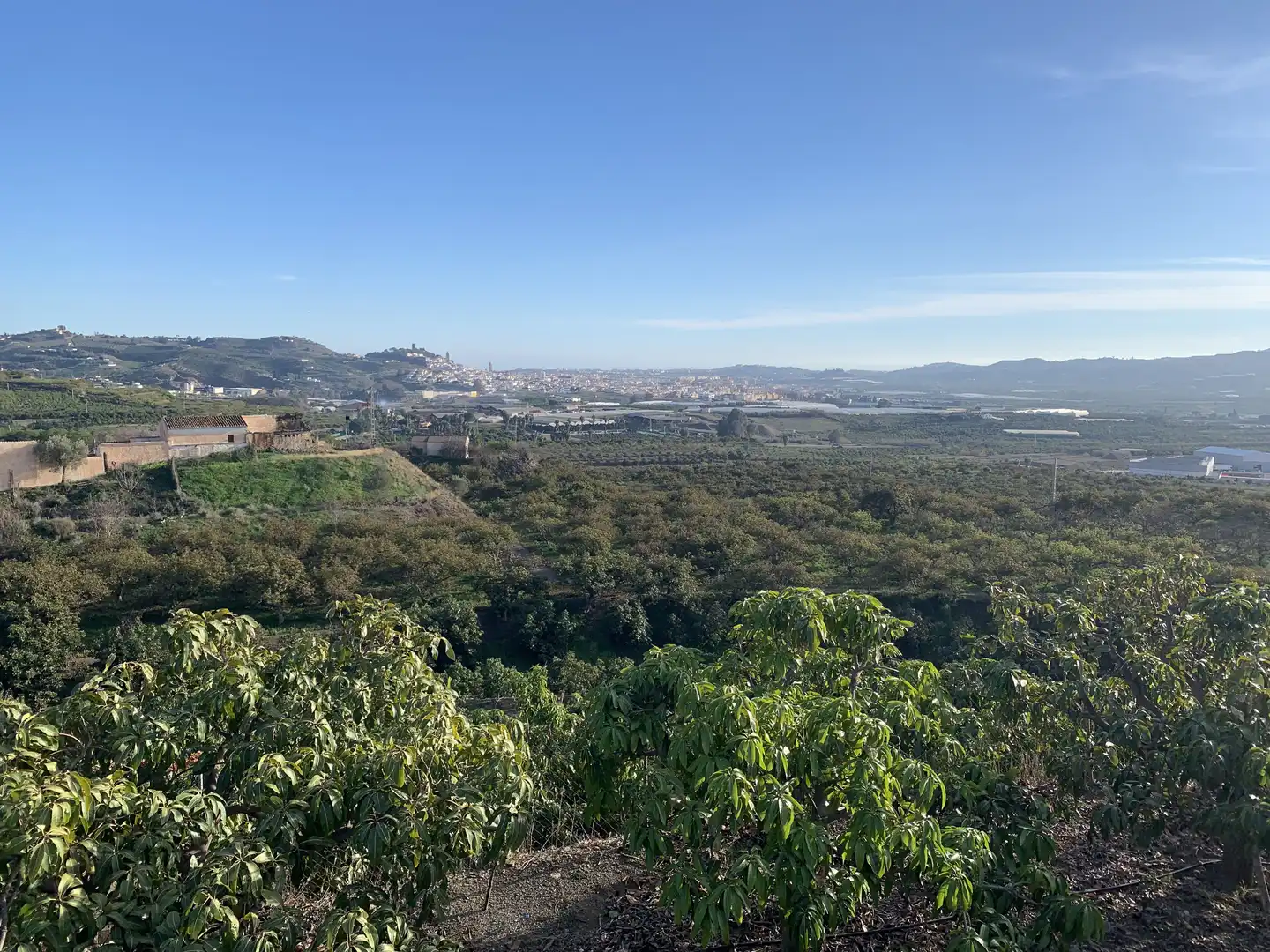 Vista exterior de Finca rústica en venta en Vélez-Málaga con Aire acondicionado, Jardín privado y Terraza