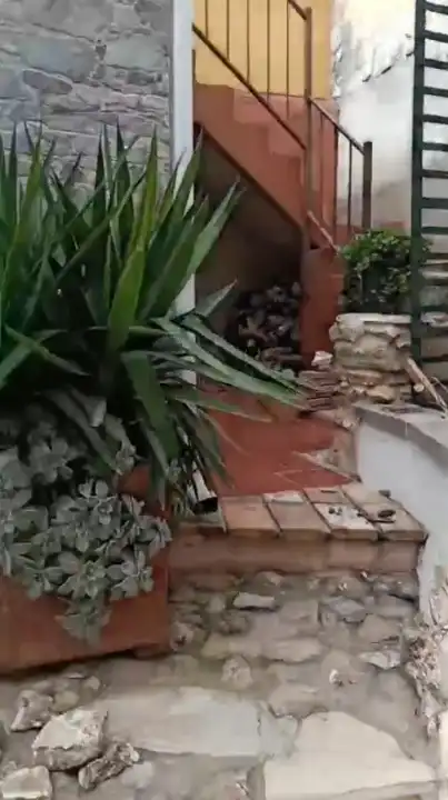 Jardí de Casa o xalet en venda en Montesa amb Aire condicionat, Terrassa i Traster