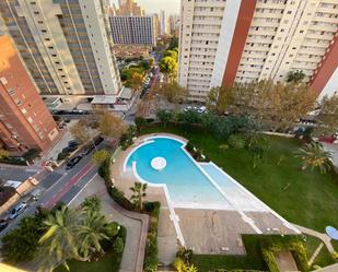 Piscina de Loft en venda en Benidorm amb Jardí privat, Terrassa i Piscina comunitària