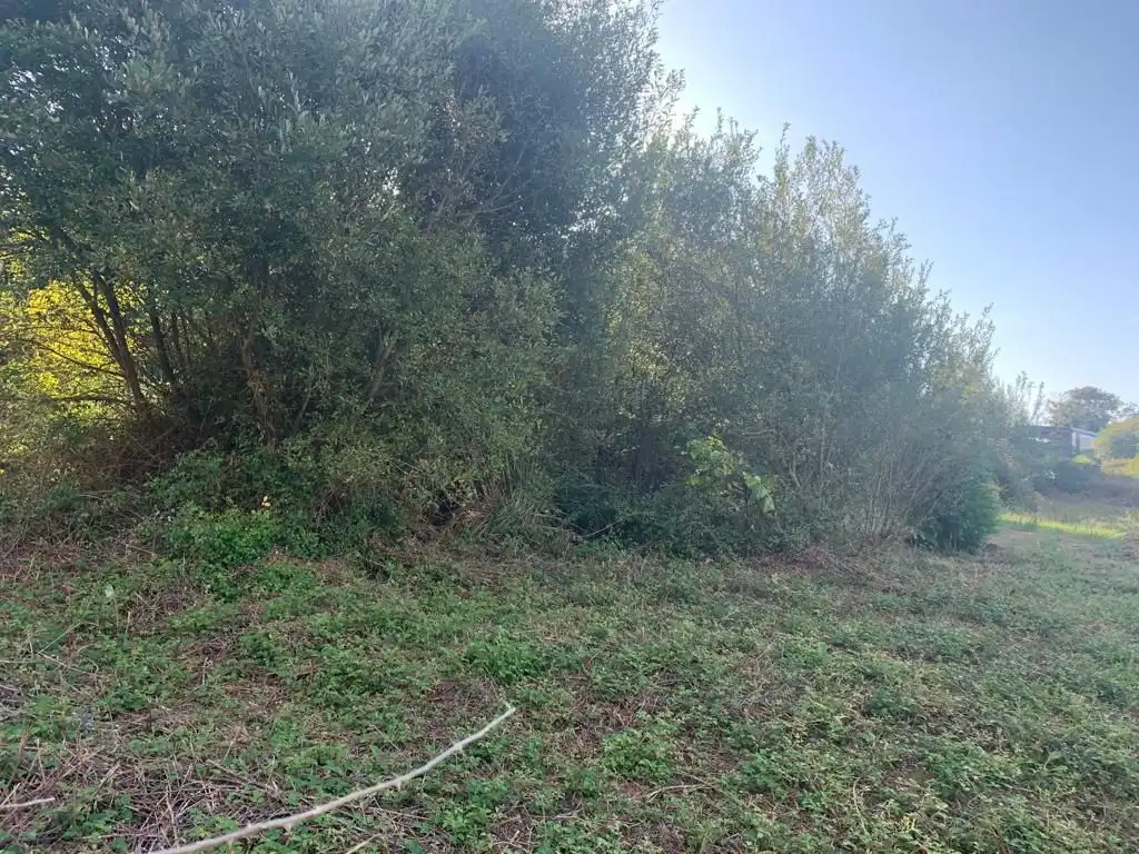 Terreno residenziale in vendita a Coto Núcleo, imagen 5