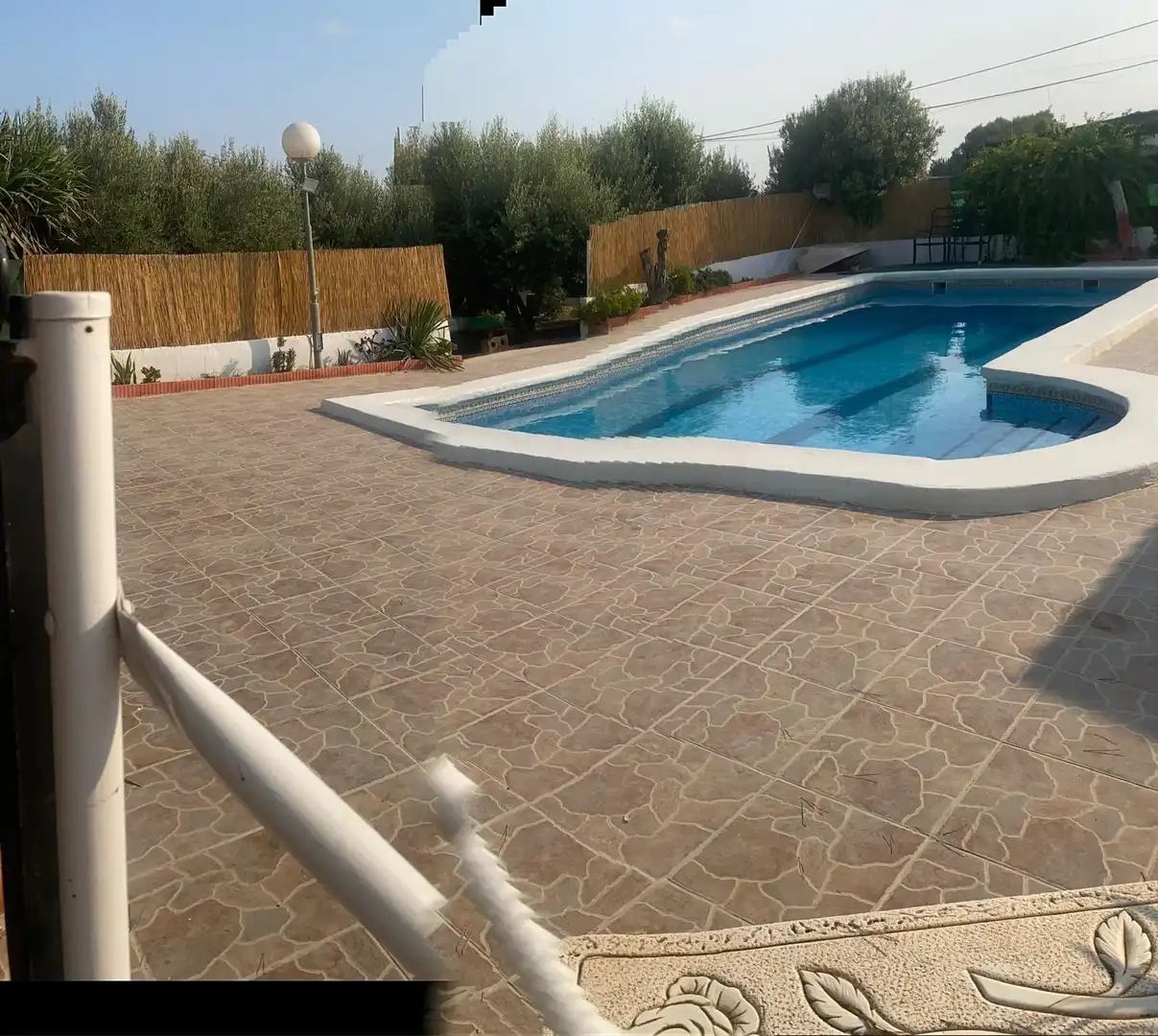 Swimming pool of Country homes for sale in Guardamar del Segura