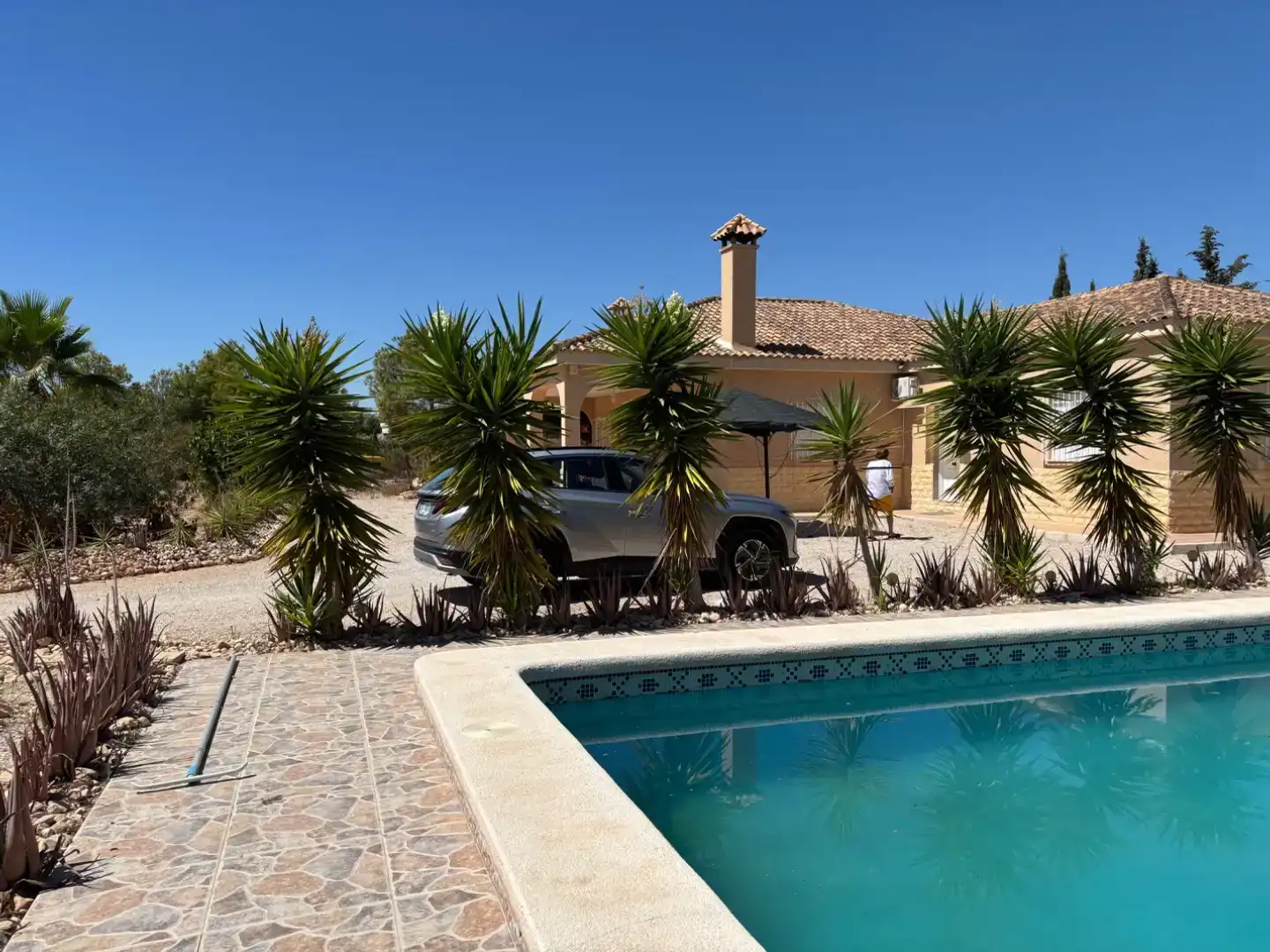 Schwimmbecken von Country house zur Miete in Crevillent